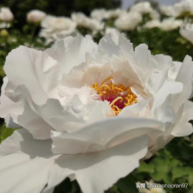 桂林市做耳机的厂有哪些