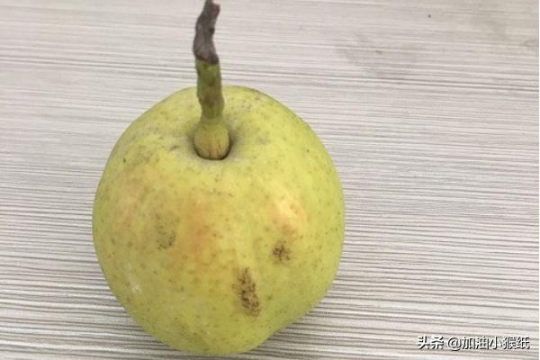 全景拍摄技巧和手法？：全景照片怎么拍