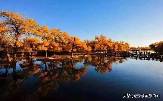 榆林市靖边县纸飞机账号购买服务