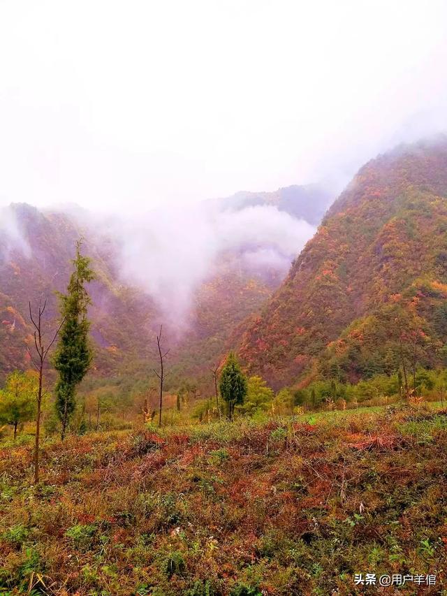 兰州到拉萨火车哪一趟最美？
