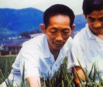 袁隆平的事迹20字缩写（袁隆平的事迹20字缩写作文）