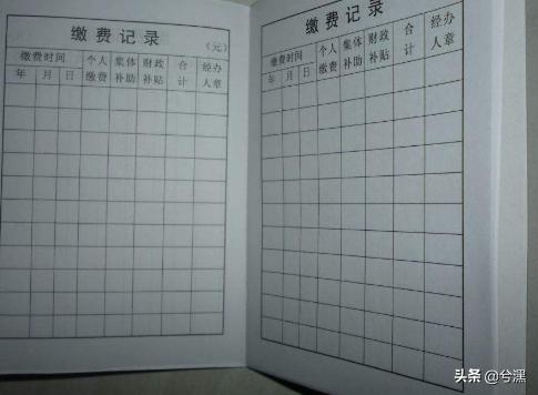 城乡养老保险缴款查询，城乡养老保险缴款查询系统