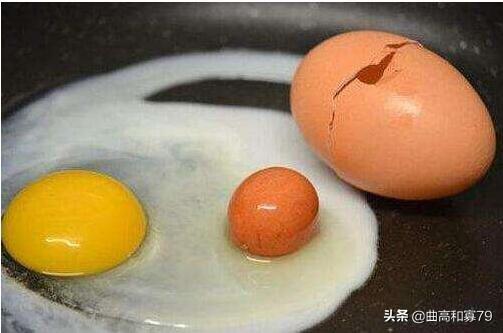 母鸡体内的小蛋黄怎么吃