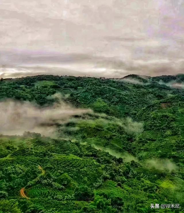 普洱旅游-普洱旅游攻略必去景点