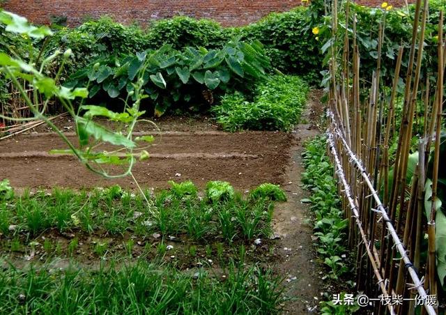 小麦财经行情资讯-小麦财经行情资讯最新