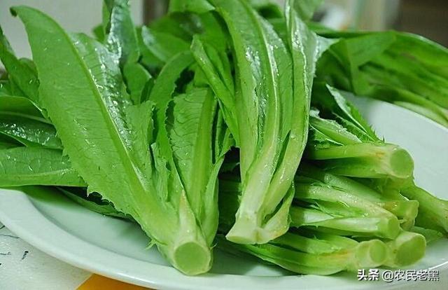 植物有哪些（植物大全100种）