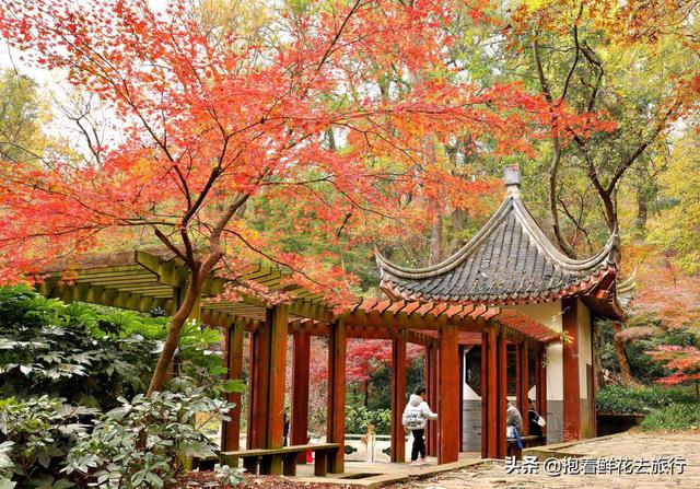 宝鸡秋天旅游景点大全， 宝鸡秋天旅游景点大全图片