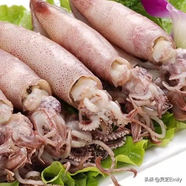 海魚圖片大全?海魚圖片大全及名稱!