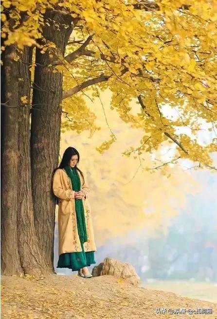 美丽的姑娘播放视频（赞美4岁小女孩漂亮的句子）