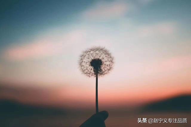 农业技能培训的通知，农业技能培训的通知怎么写