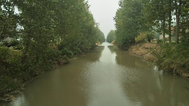 杨柳到泾阳地铁路线，到杨柳怎么走