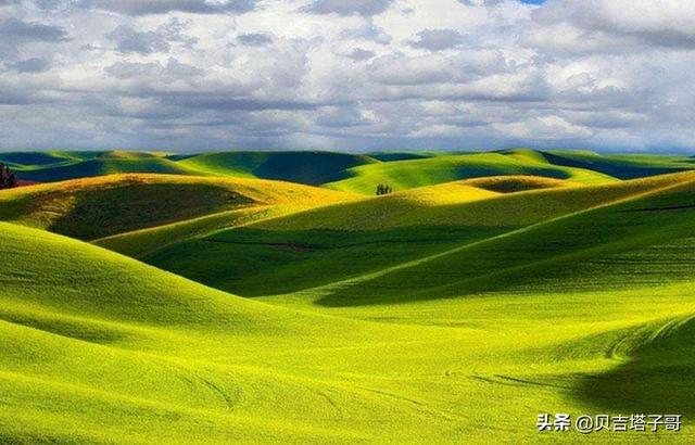 绿化城市排名 草原有哪些-绿化城市排名 草原有哪些地方