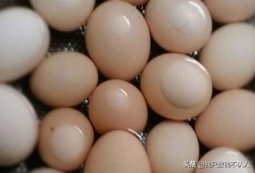 怎样腌咸鸡蛋-怎样腌咸鸡蛋好吃又出油
