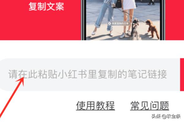 小红书怎么去水印（小红书怎么去除水印？）