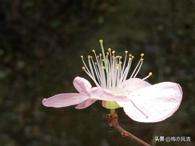 乘客被锁车上