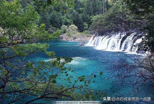 成都当地旅游团-成都当地旅游团报价