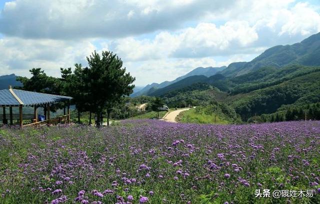 下半年最新旅游景点大全， 下半年最新旅游景点大全及价格