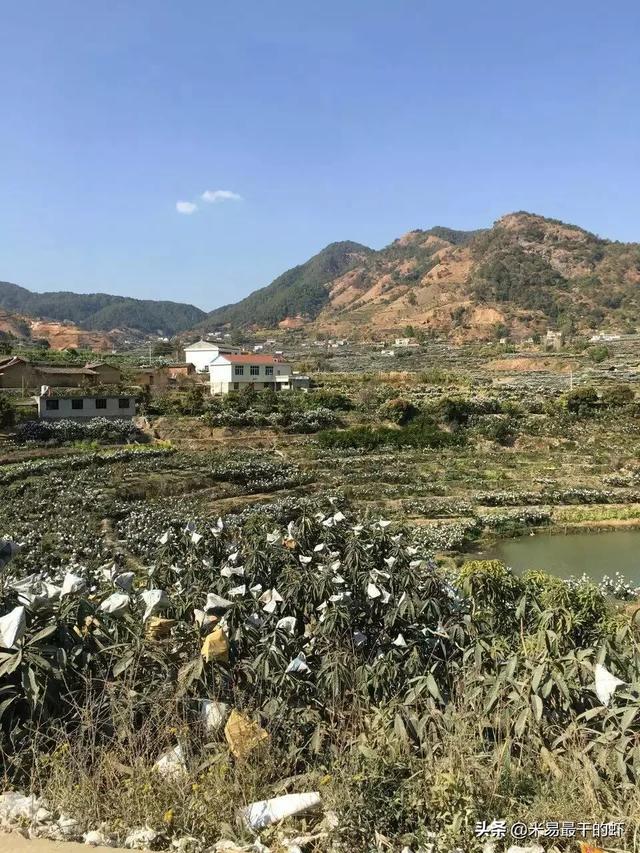 攀枝花旅游必去景点图片(图1)