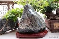 泰山汽修保养，泰山汽修保养电话