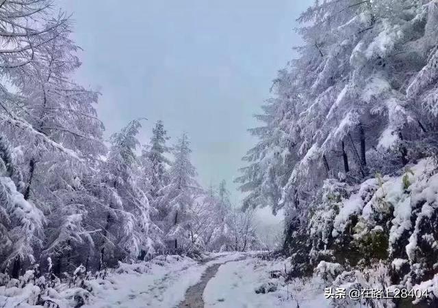 连夜买票到湖南赏雪