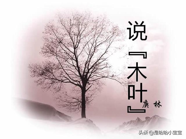 木叶寒风（《木叶寒风》）