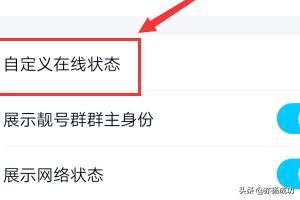 qq手机型号在线状态怎么设置-qq手机型号在线状态怎么设置不了