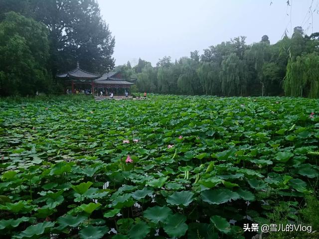 旅游资讯 大学生心得体会怎么写范文,旅游资讯 大学生心得体会怎么写范文大全