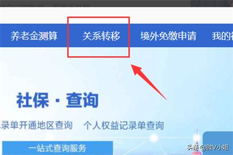 国家公共社会保险服务官网，国家公共社会保险服务官网查询