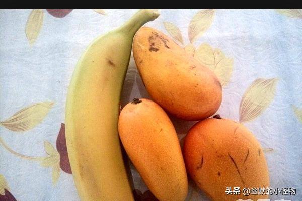 制作水果冰淇淋-制作水果冰淇淋的方法和材料
