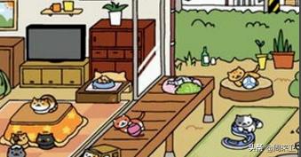 猫咪后院怎么吸引猫后院收集攻略,第10张