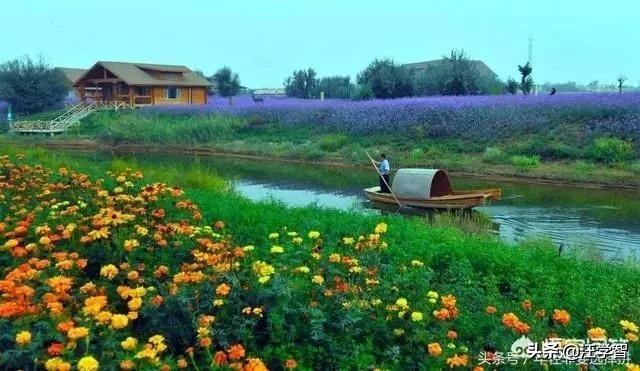 沙坡头图片（想知道:从中卫市到沙坡头区怎么坐公交？）