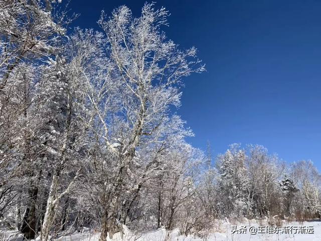 汪清旅游景点大全， 汪清旅游景点大全排名榜