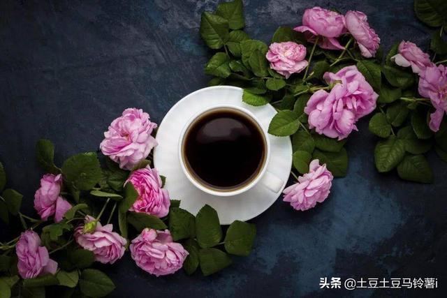 一半清欢（一半清欢一半烟火什么意思）