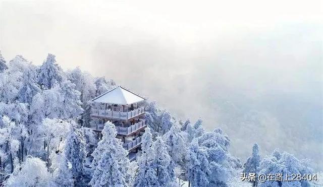 连夜买票到湖南赏雪