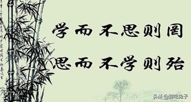 学而不思则罔思而不学则殆的意思