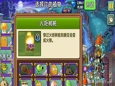 黑暗时代（黑暗时代电影）