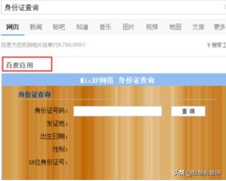 公安个人信息查询系统，公安个人信息查询系统官网app