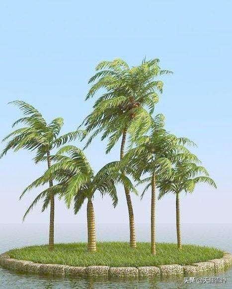 国庆节，国庆节高速免费几天?