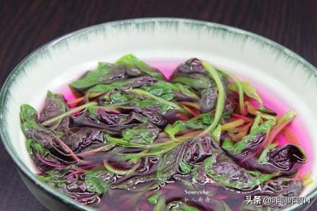 紫苋菜-紫苋菜的功效与作用