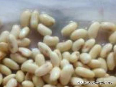 豆浆的做法-豆浆的做法大全