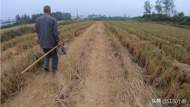 宝鸡奶牛养殖场-宝鸡奶牛养殖场地址