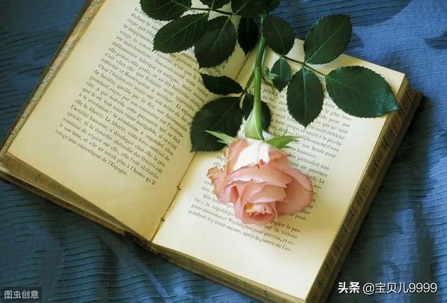 石家庄市管理的市有什么