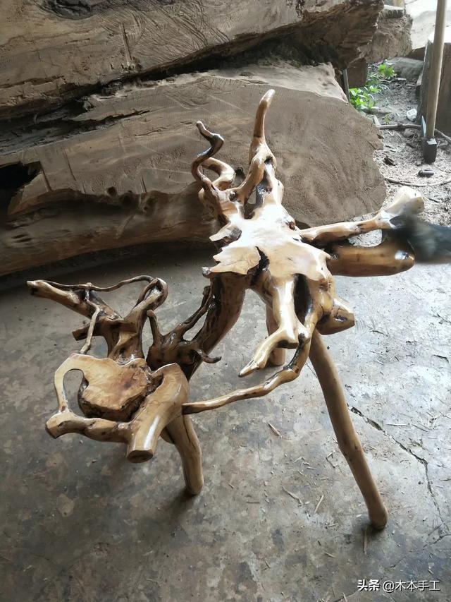 [树根图片]哪些树的根比较适合做根雕？