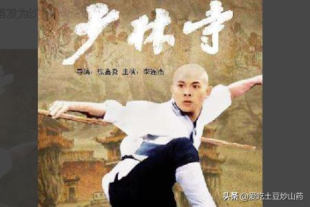 50部少林寺电影（50部少林寺电影有哪些）