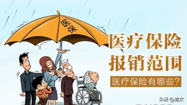 学生险100元能报销多少，学生险100元能报销多少打狂犬疫苗花1500