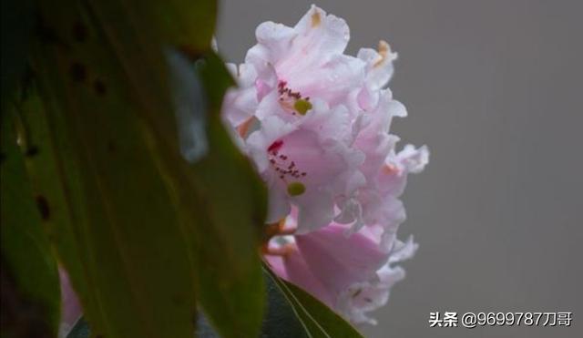 泰顺至永州高铁路线，泰顺至永州高铁路线图