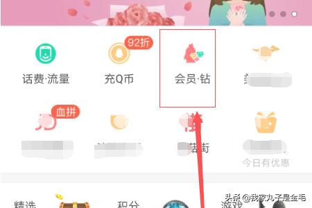 绿色版qq-绿色版qq音乐自动续费怎么取消
