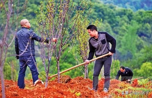 承包土地种植信息，承包土地种植信息怎么写