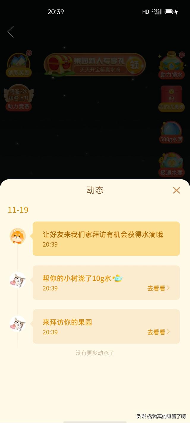 苗木养护记录表 浇水怎么填