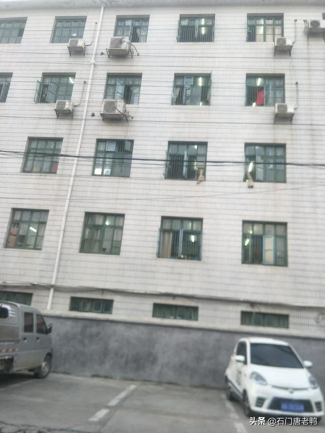 [城市景观设计元素]城市景观与乡村景观有什么差别？